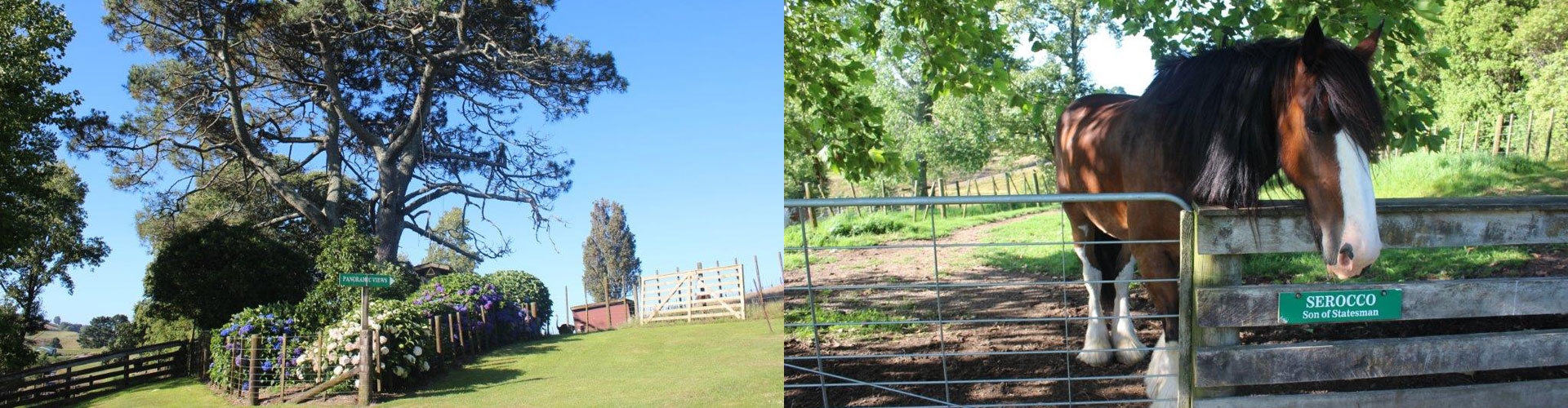 Tauranga animal park